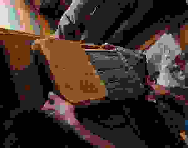 desertlibrary4.jpg