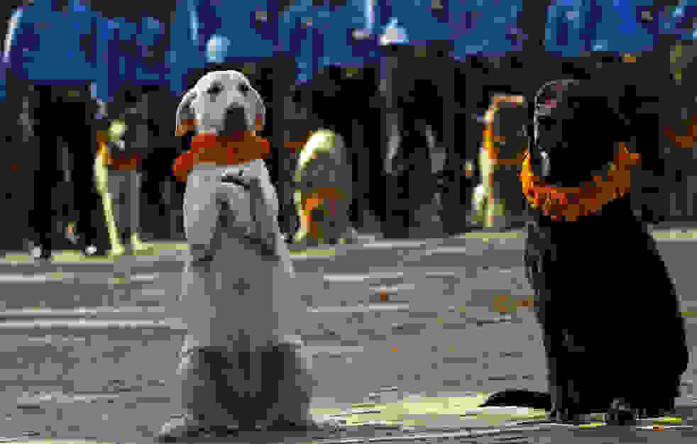 diwali_festival_1026_15.jpg