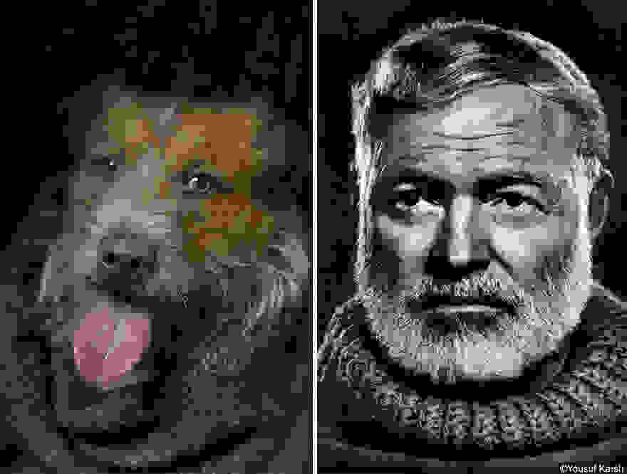 dogpoetry_1.jpg