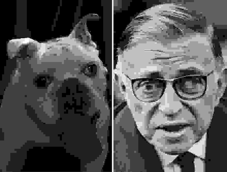 dogpoetry_10.jpg
