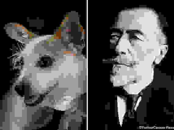dogpoetry_16.jpg