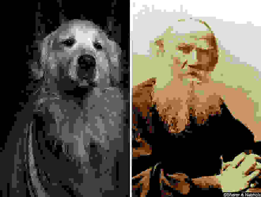 dogpoetry_2.jpg