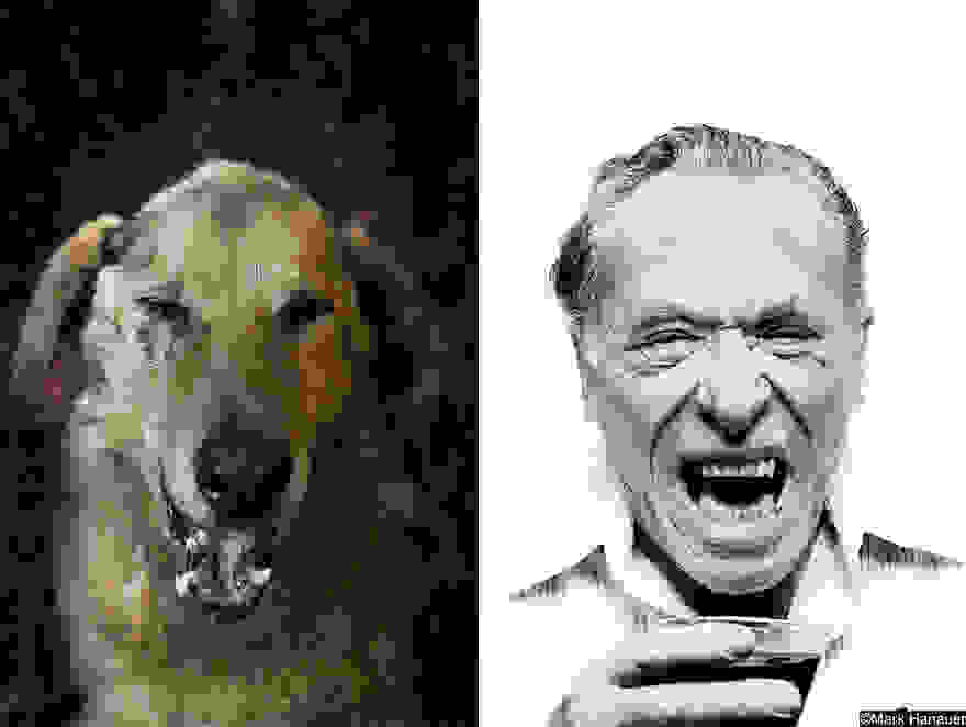 dogpoetry_4.jpg