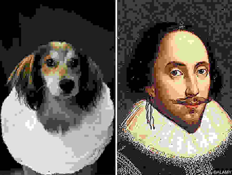 dogpoetry_5.jpg