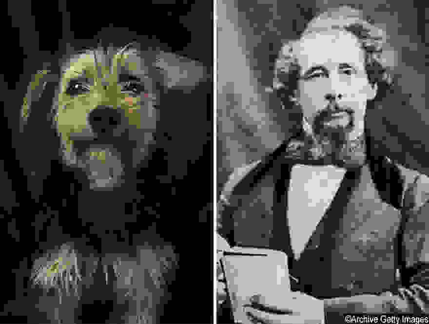 dogpoetry_6.jpg
