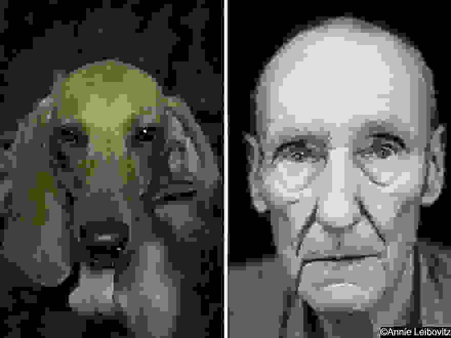 dogpoetry_9.jpg
