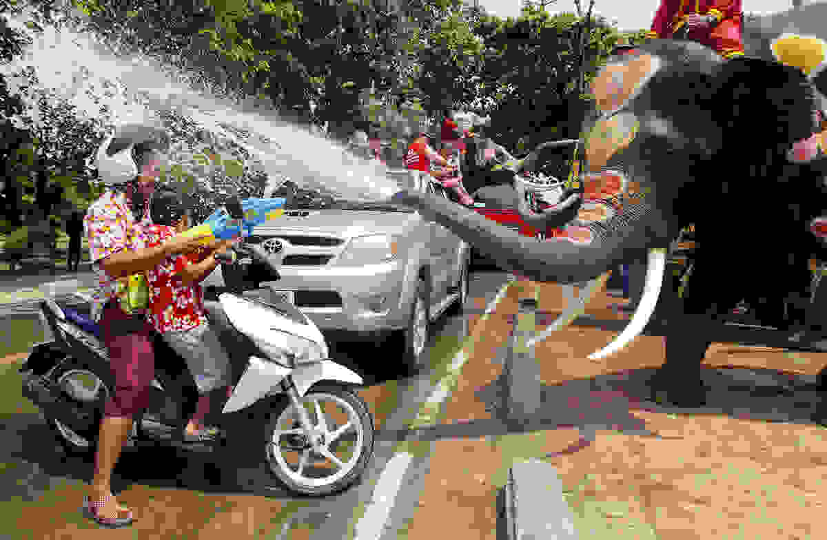 elephant-day-6.jpg