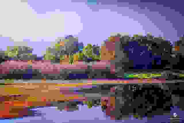 elos-kalodikiou16.jpg