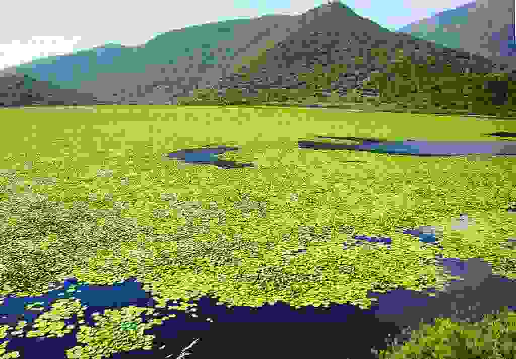 elos-kalodikiou4.jpg