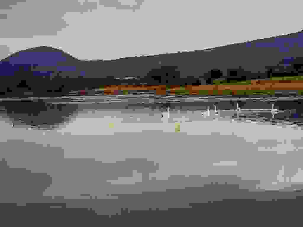 elos-kalodikiou6.jpg