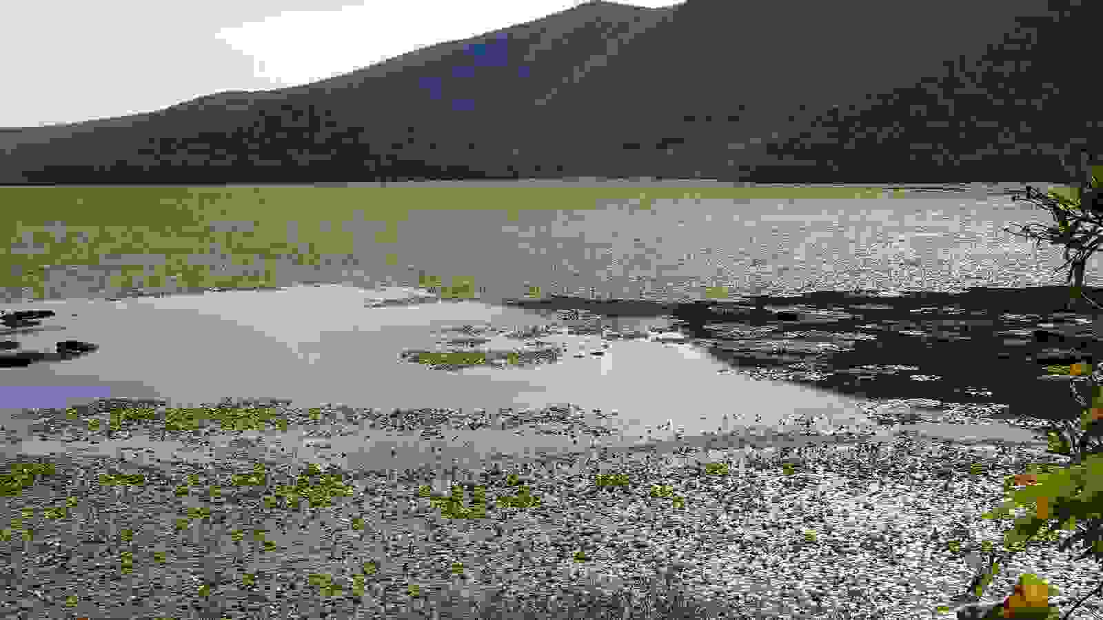 elos-kalodikiou7.jpg
