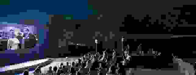 enastron1.jpg