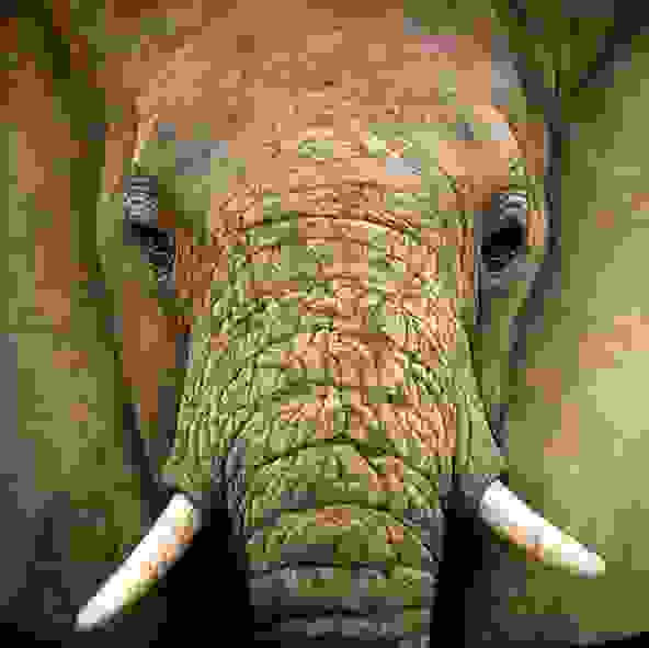 enhanced-buzz-1624-1370363310-4.jpg