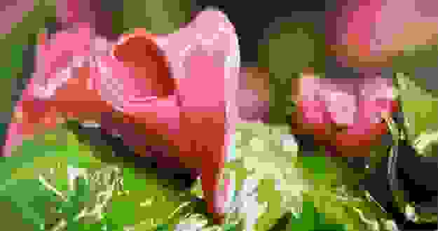 enhanced-buzz-5829-1370276387-0.jpg