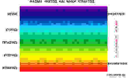 fasma.jpg