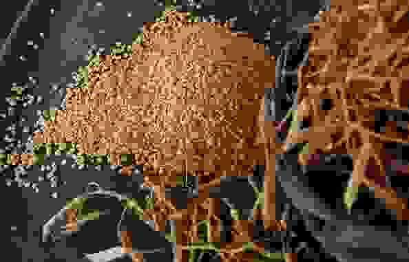 fava.jpg