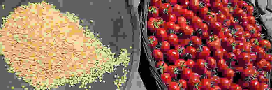 fava1.jpg