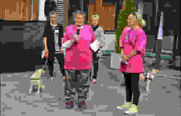 filandoi-zoa.jpg