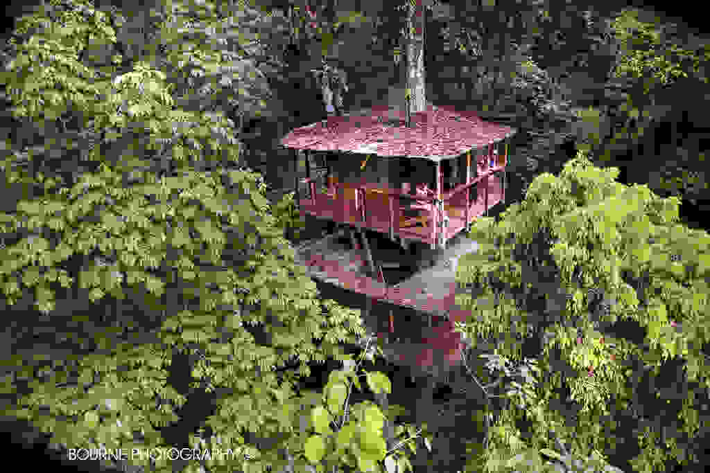finca-bellavista-sustainable-tree-house-community-9.jpg