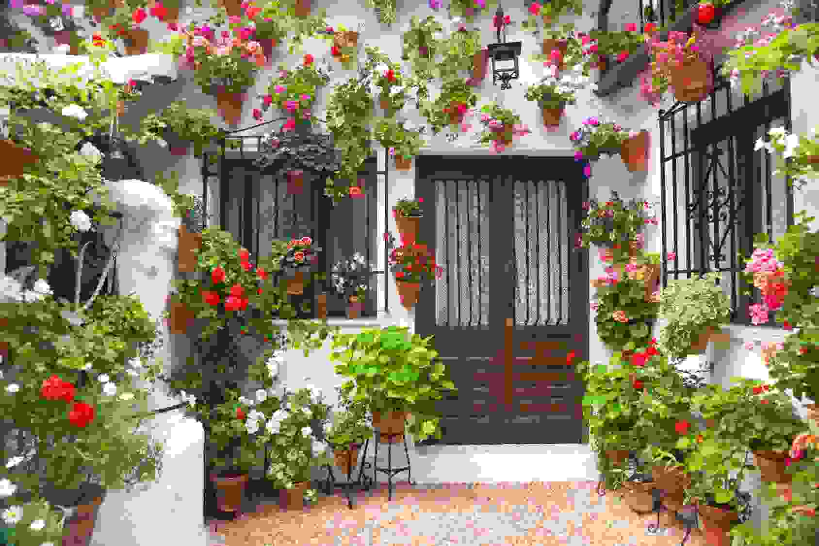 flower-festival-cordoba-40.jpg