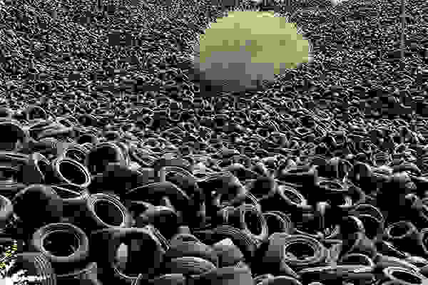 flower-tree-growing-concrete-pavement-114.jpg