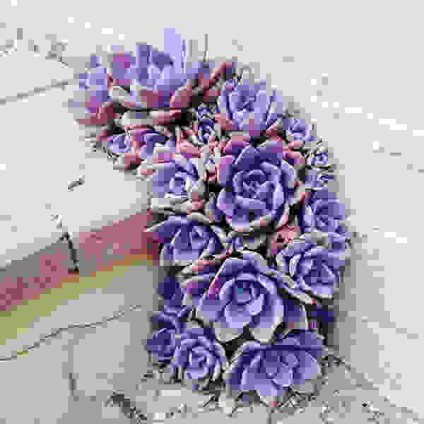 flower-tree-growing-concrete-pavement-17.jpg