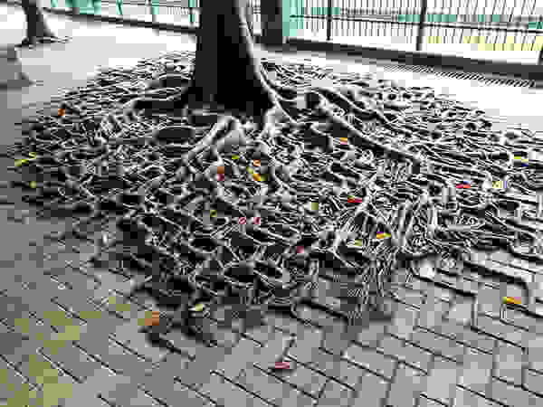 flower-tree-growing-concrete-pavement-34.jpg