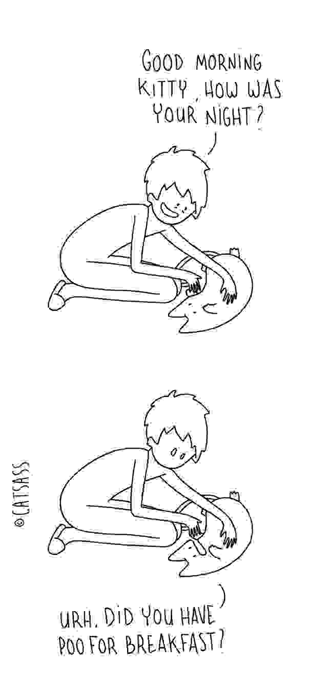 funny-cat-comic-strip-catsass-claude-combacau-18.jpg