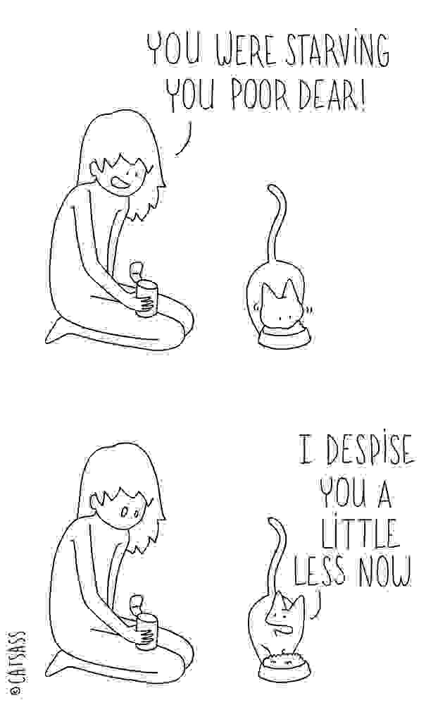 funny-cat-comic-strip-catsass-claude-combacau-19.jpg