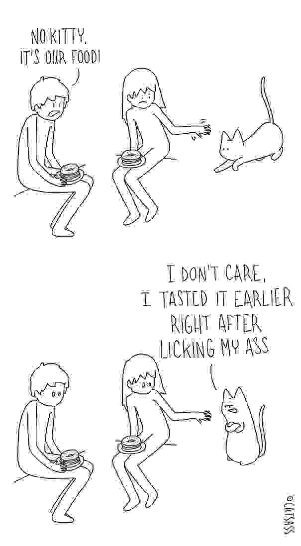 funny-cat-comic-strip-catsass-claude-combacau-21.jpg