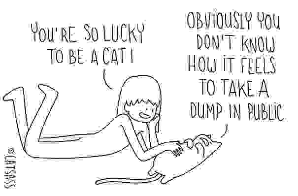 funny-cat-comic-strip-catsass-claude-combacau-22.jpg