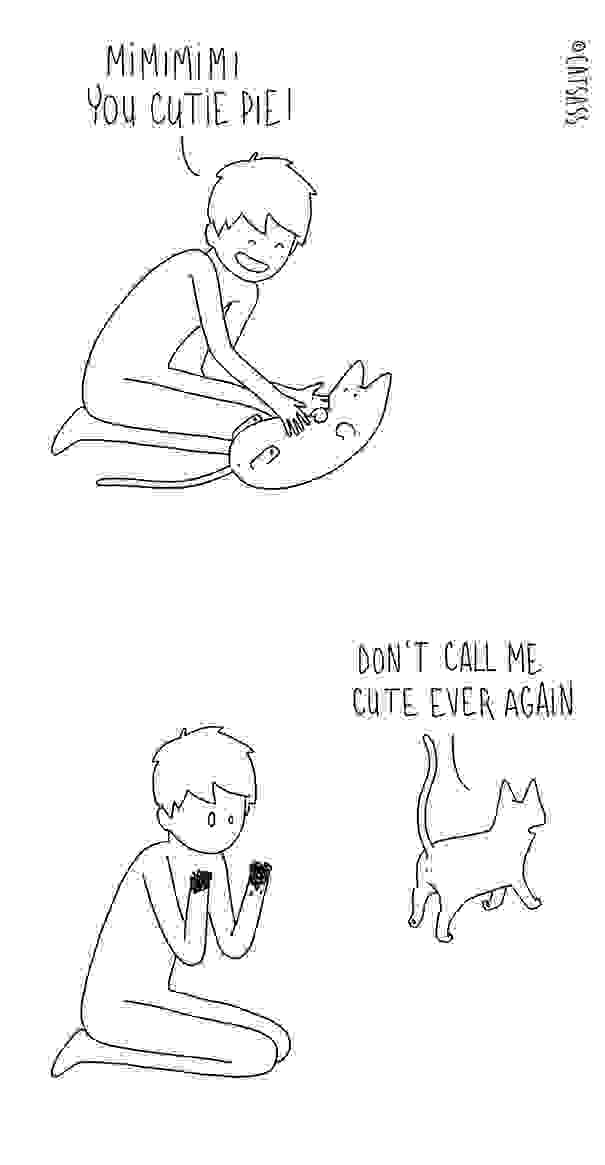 funny-cat-comic-strip-catsass-claude-combacau-23.jpg