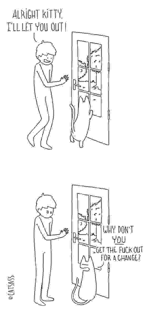 funny-cat-comic-strip-catsass-claude-combacau-8.jpg