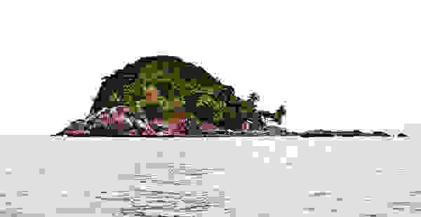 gaios5.jpg