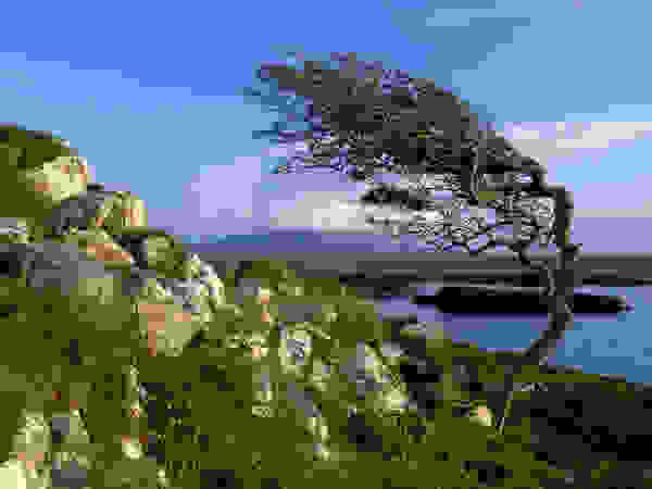 galaway7.jpg