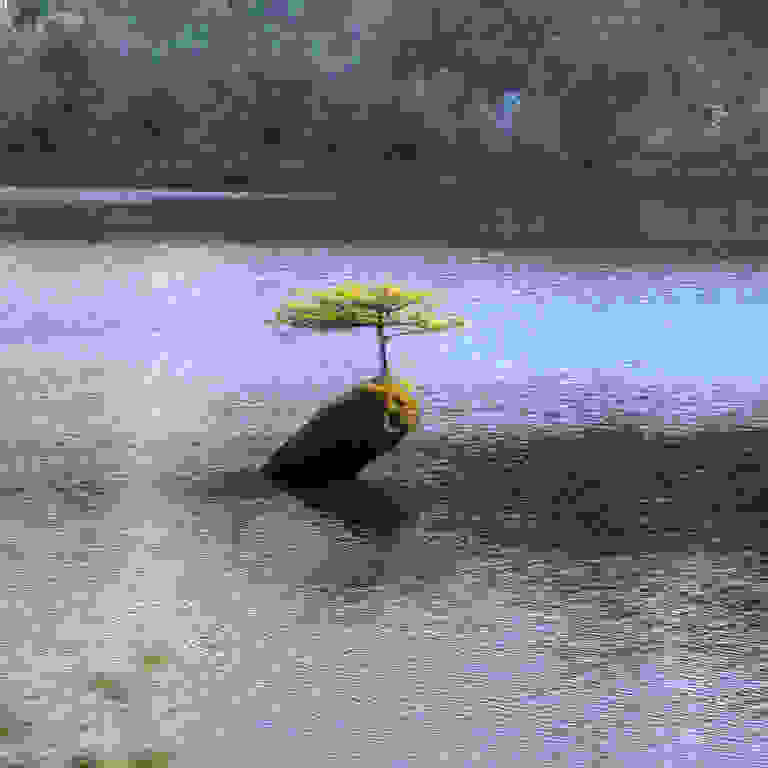 10745805184 ddb5a9f2f7 b