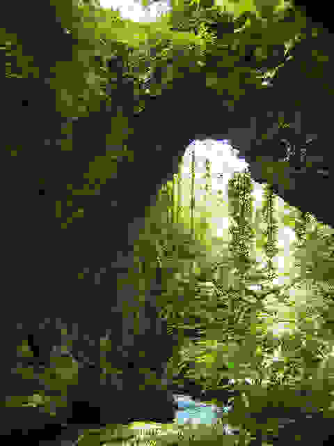2505287194 b0c50f859e z
