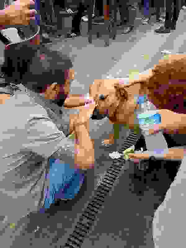 311