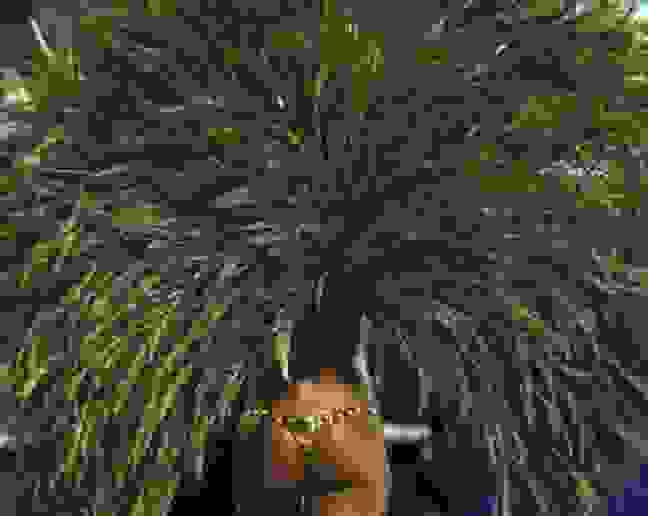 apo10