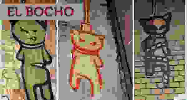 elbocho