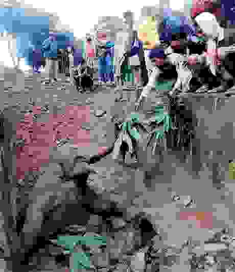 elephant-2 2826117c