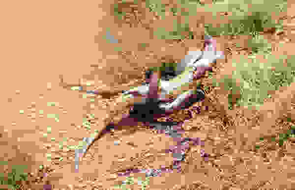 korko1
