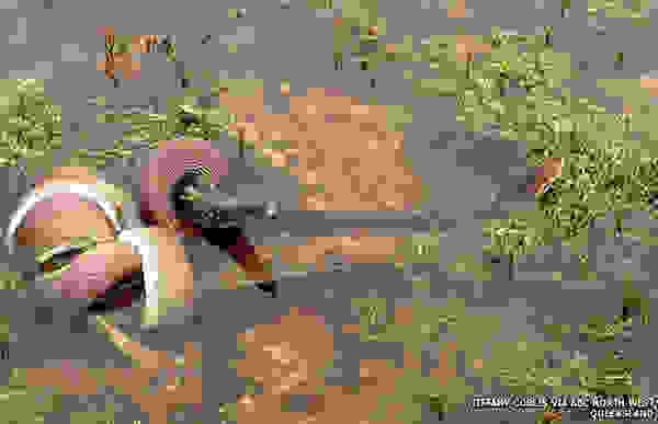 kroko2