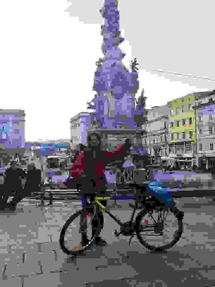 linz1
