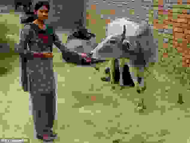 madjoudara