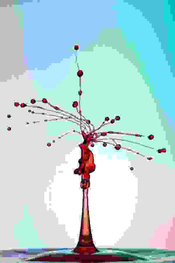 markus reugels explosion