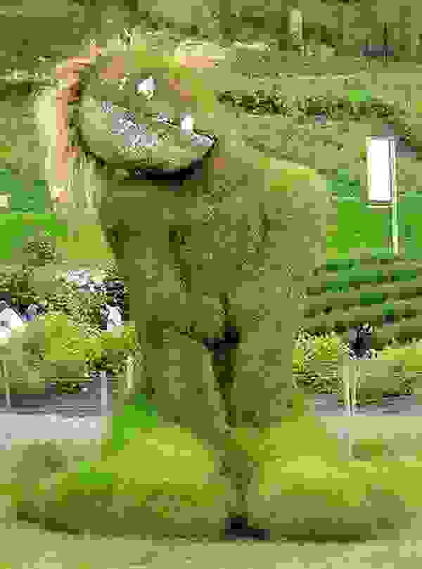 moss-eve