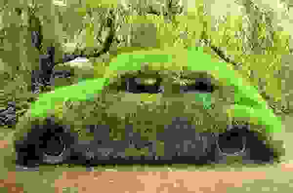 moss car