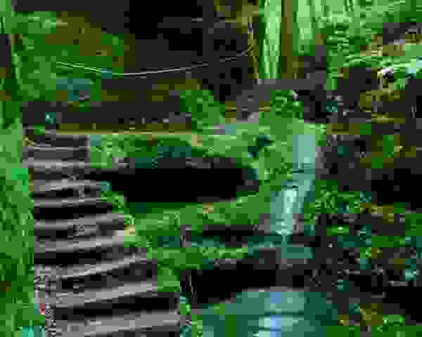 moss steps