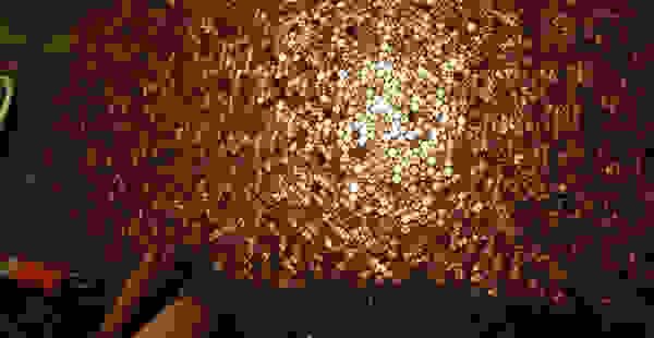 patoma2